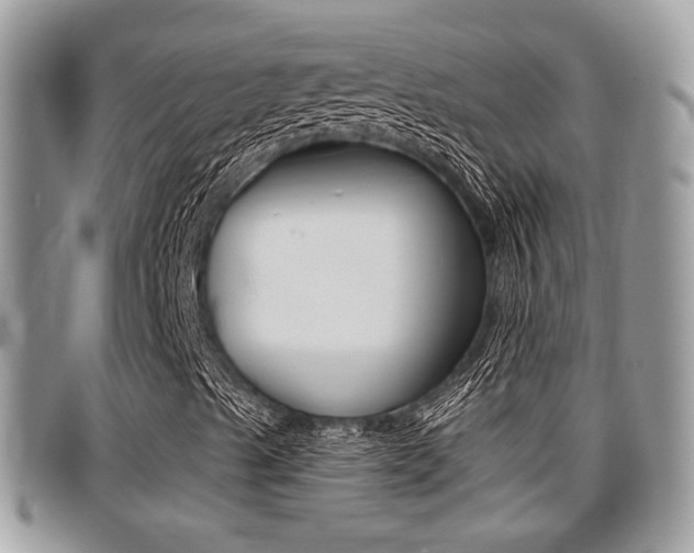 X0000096151489200801180818