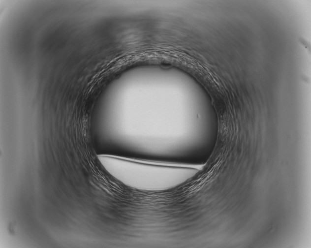 X0000096151490200801180818