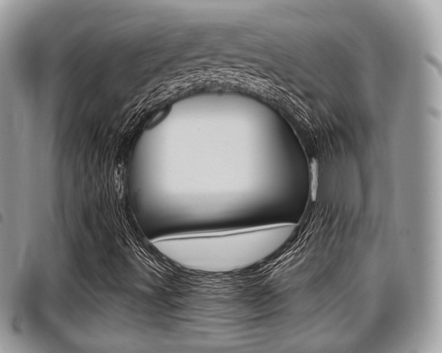 X0000096151491200801180818
