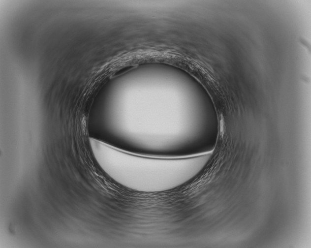 X0000096151492200801180818