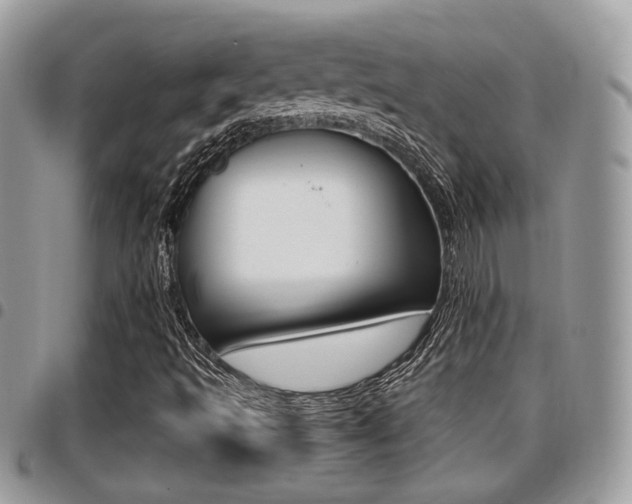 X0000096151493200801180818