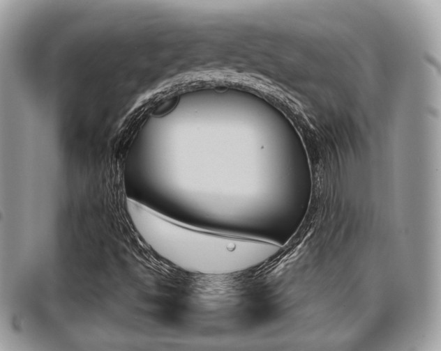 X0000096151494200801180818