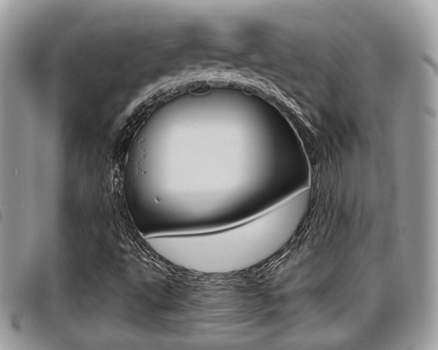 X0000096151495200801180818