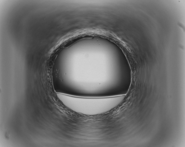 X0000096151496200801180818