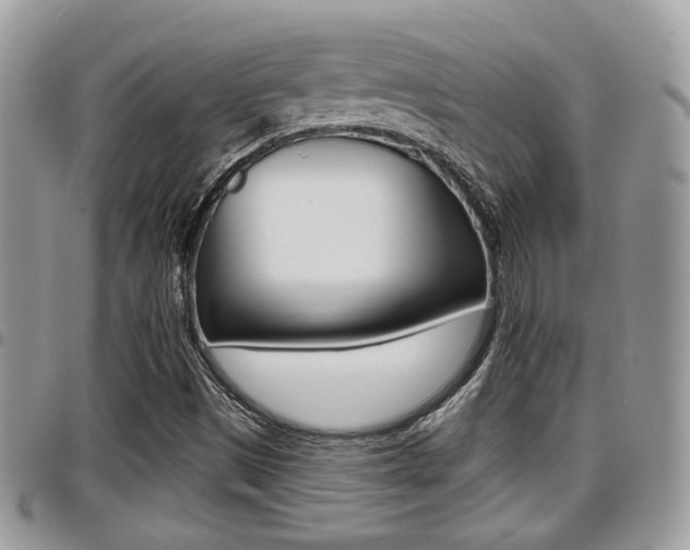 X0000096151497200801180818