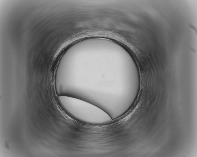 X0000096151498200801180818