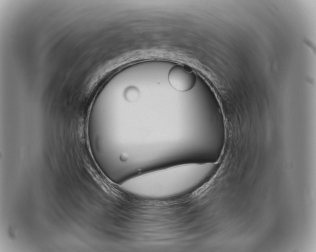 X0000096151499200801180818