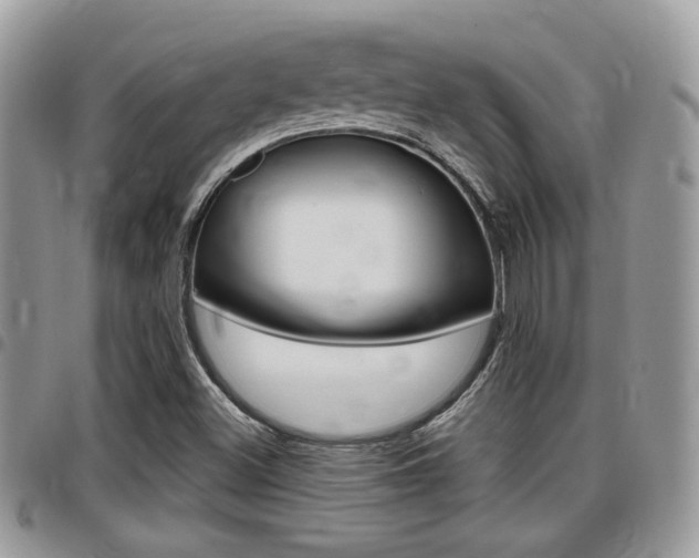 X0000096151500200801180818