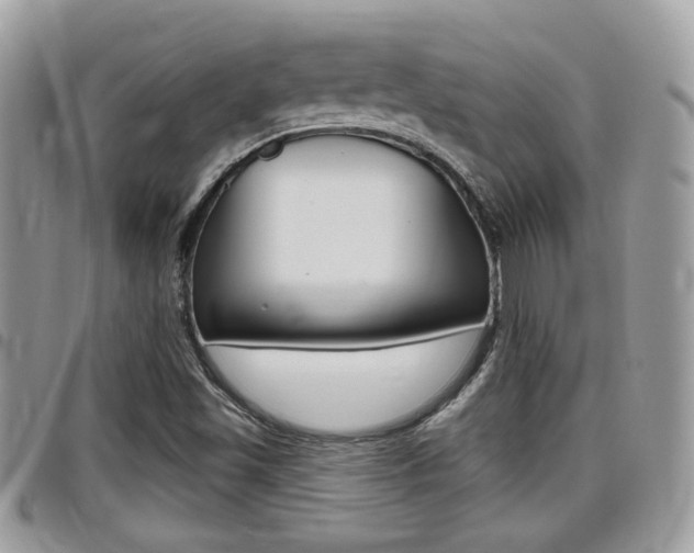 X0000096151501200801180818