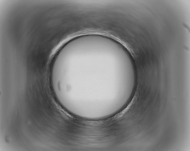 X0000096151502200801180818
