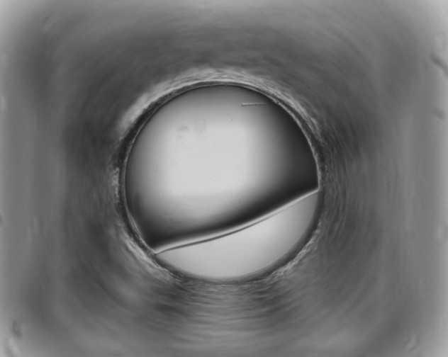 X0000096151503200801180818