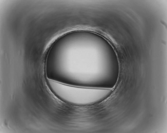 X0000096151504200801180818