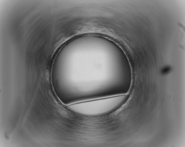 X0000096151505200801180818