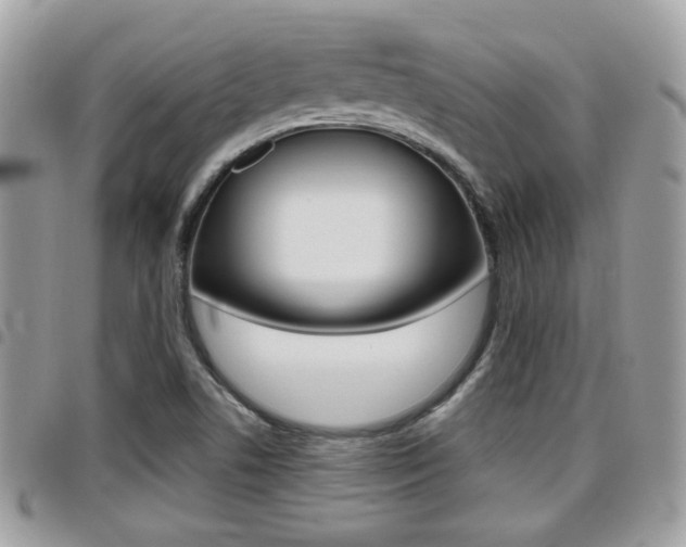 X0000096151506200801180818