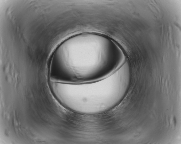 X0000096151508200801180818