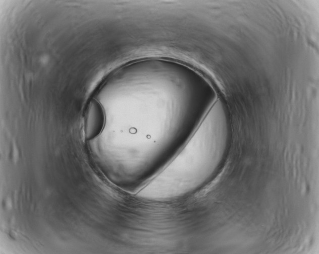 X0000096151509200801180818