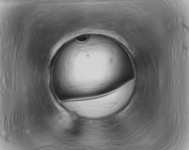 X0000096151511200801180818