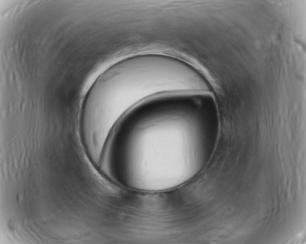 X0000096151512200801180818