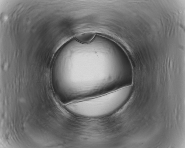 X0000096151513200801180818