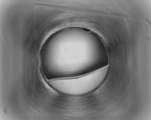 X0000096151515200801180818