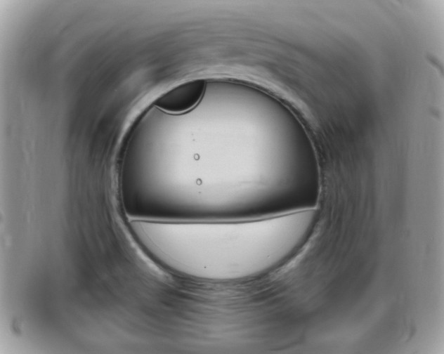 X0000096151517200801180818