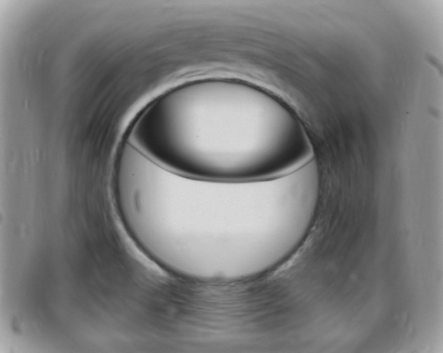 X0000096151518200801180818