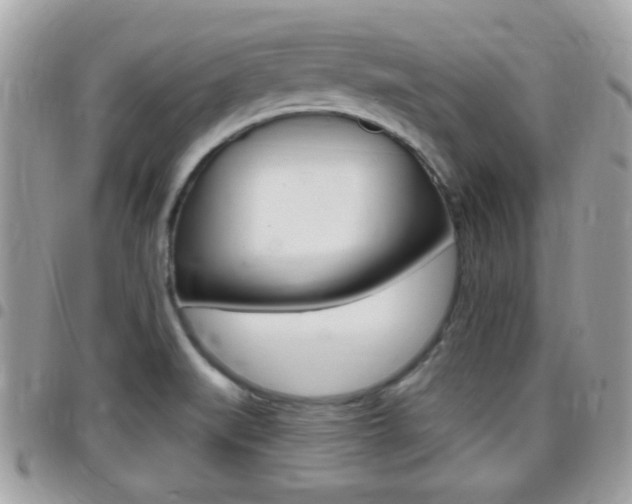 X0000096151519200801180818
