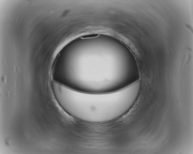 X0000096151520200801180818