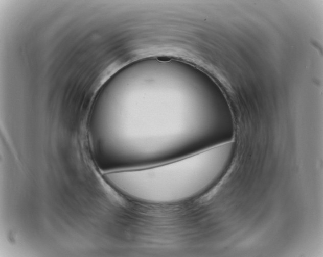 X0000096151521200801180818