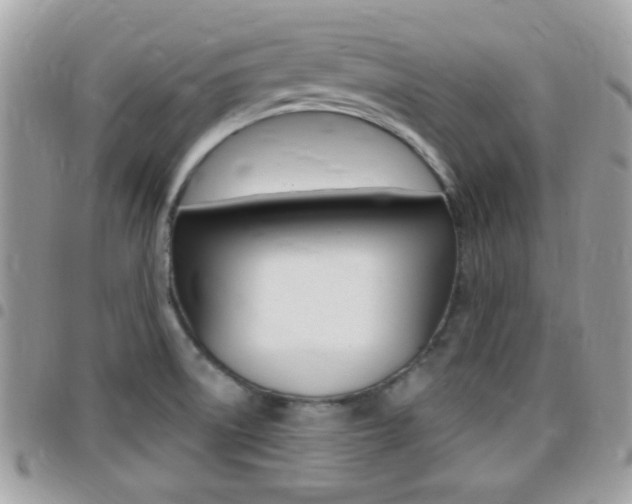 X0000096151522200801180818
