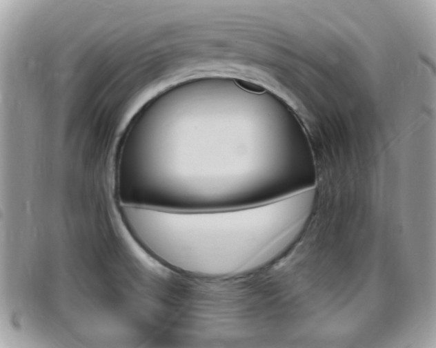 X0000096151523200801180818