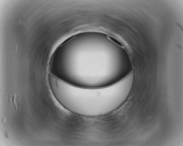 X0000096151528200801180818