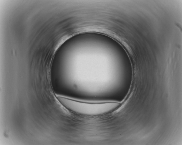 X0000096151529200801180818