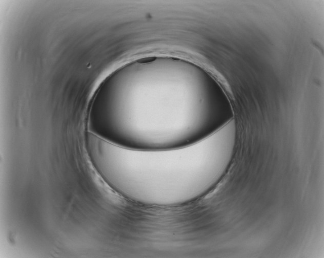 X0000096151530200801180818