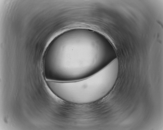 X0000096151531200801180818