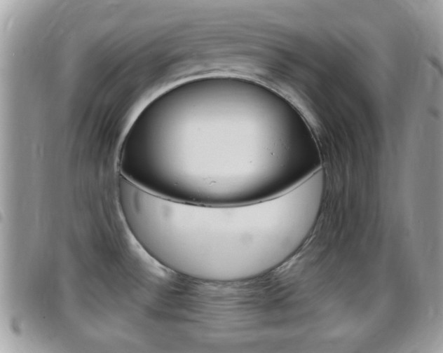 X0000096151532200801180818