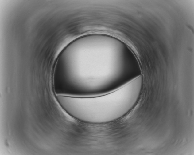 X0000096151533200801180818
