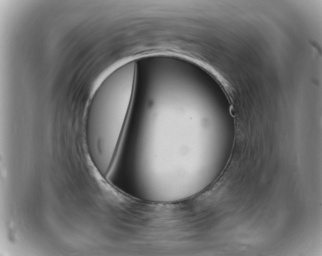 X0000096151534200801180818