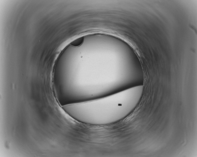 X0000096151535200801180818