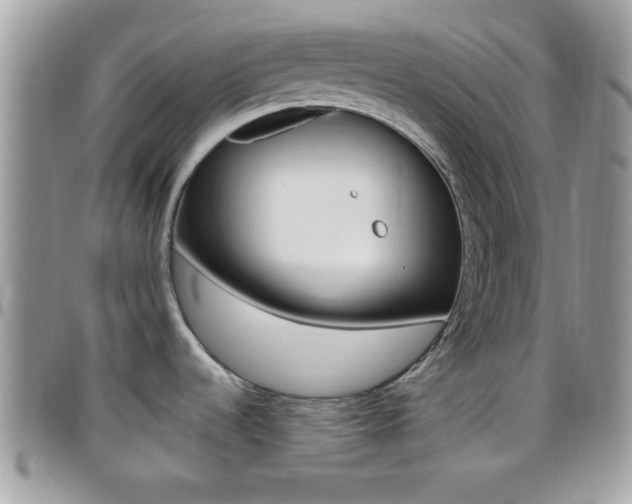 X0000096151536200801180818