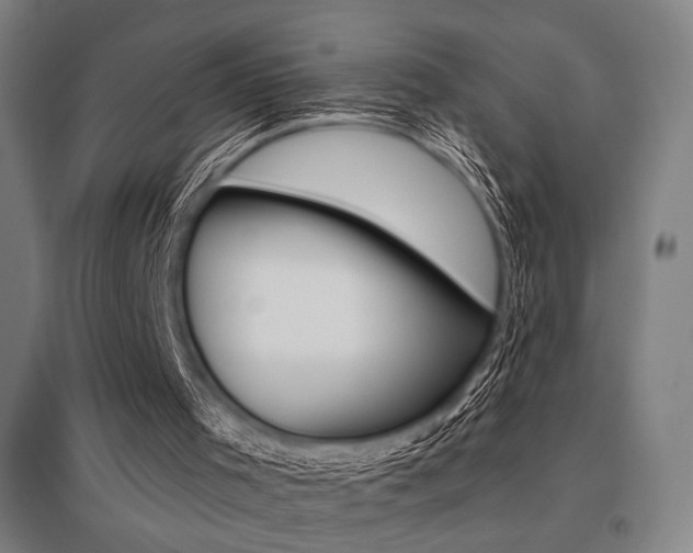 X0000096150001200801181213
