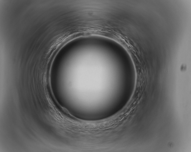 X0000096150002200801181213