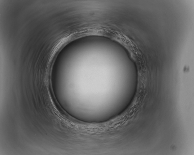 X0000096150003200801181213