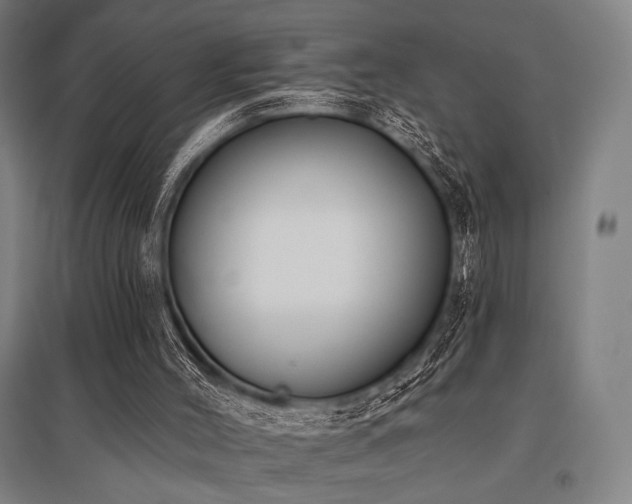 X0000096150004200801181213