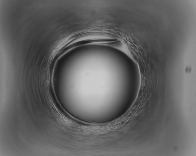 X0000096150005200801181213