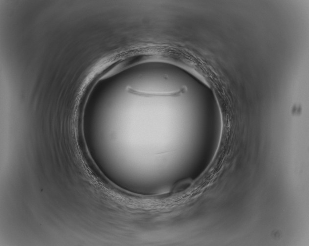 X0000096150006200801181213