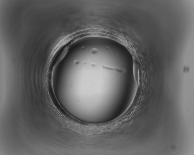 X0000096150007200801181213