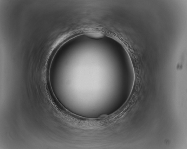X0000096150008200801181213