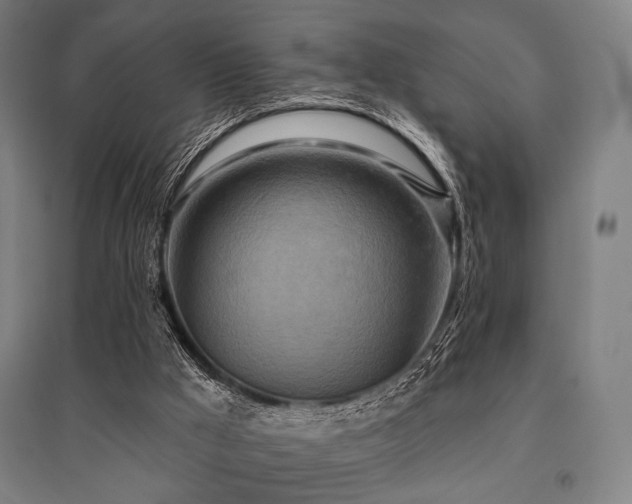 X0000096150009200801181213