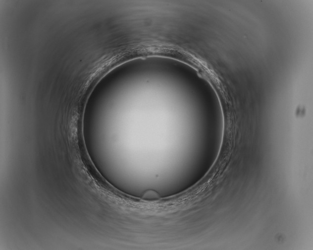 X0000096150010200801181213